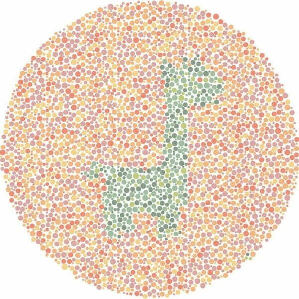 Color Blind Test