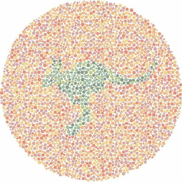 Color Blind Test