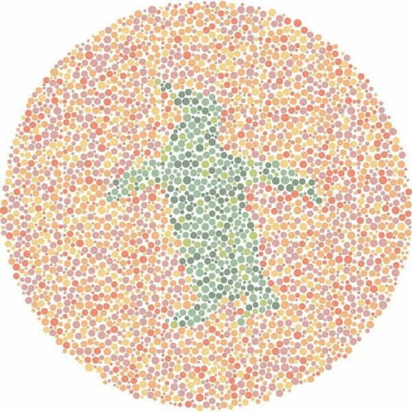 Color Blind Test