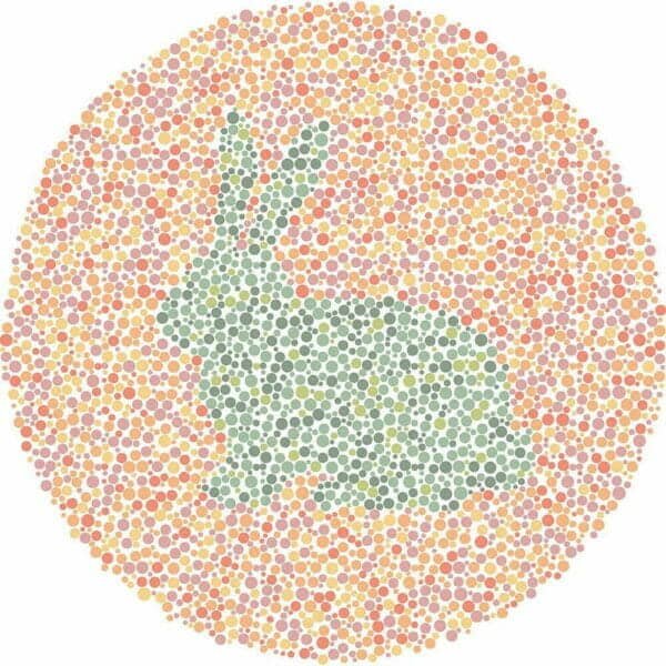 Color Blind Test