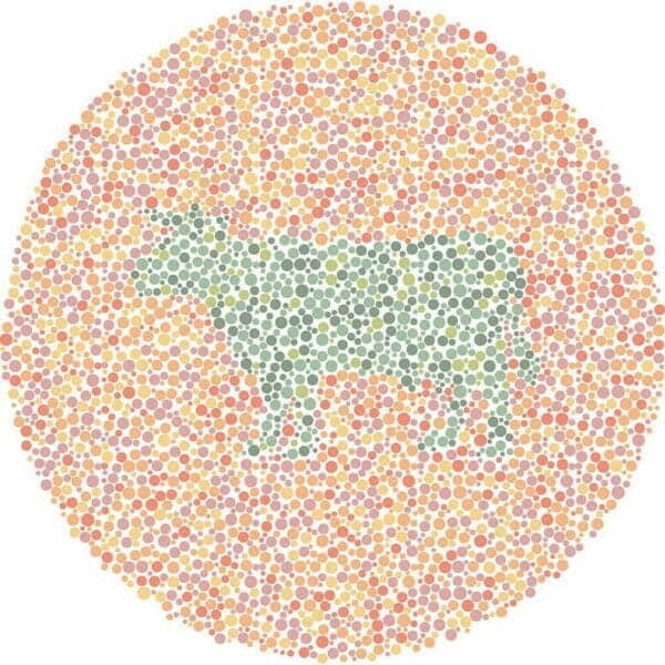 Color Blind Test