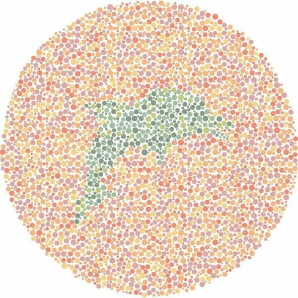Color Blind Test