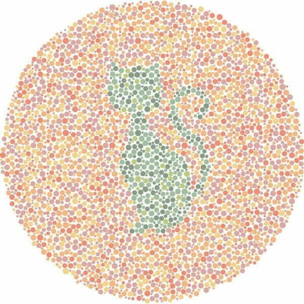Color Blind Test