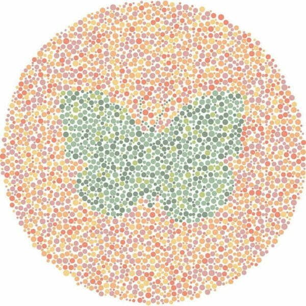 Color Blind Test
