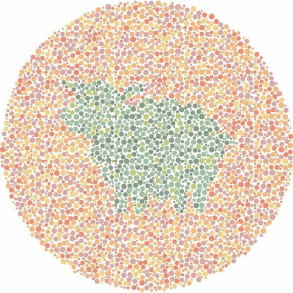 Color Blind Test