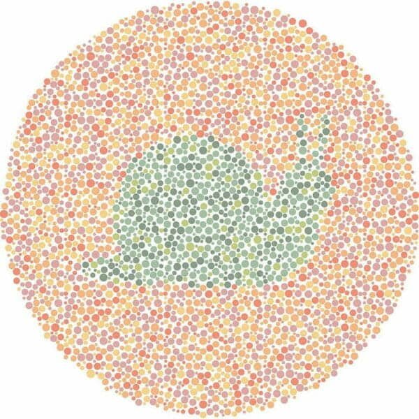 Color Blind Test