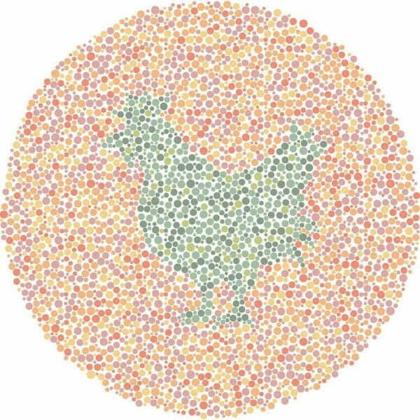 Color Blind Test