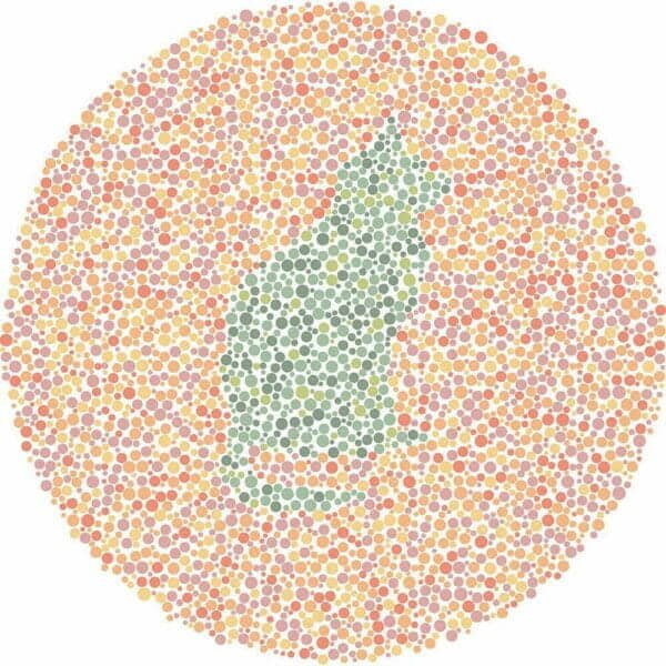 Color Blind Test