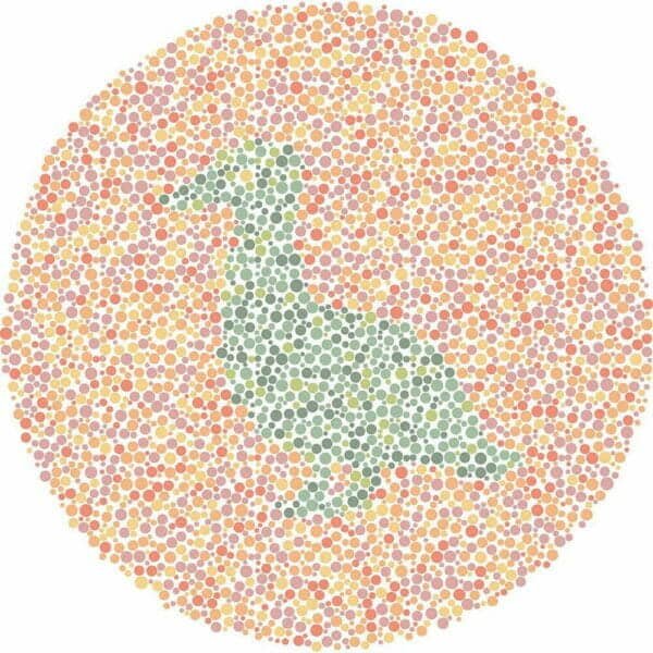 Color Blind Test