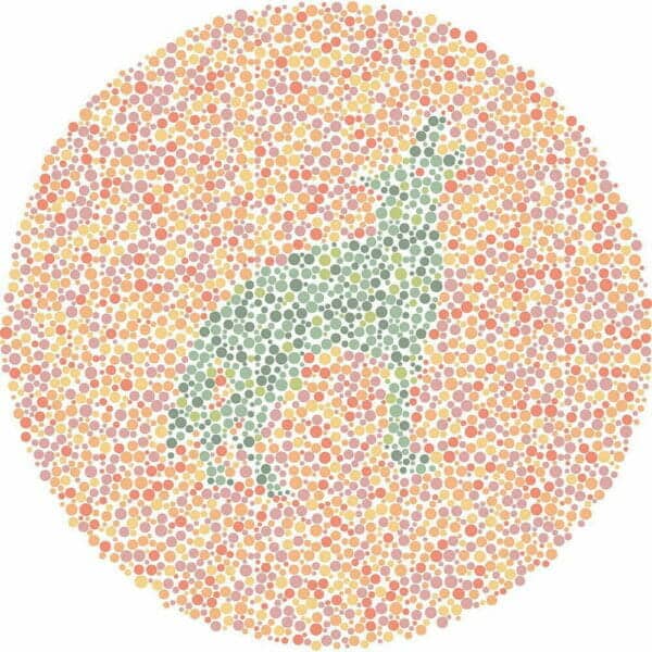 Color Blind Test