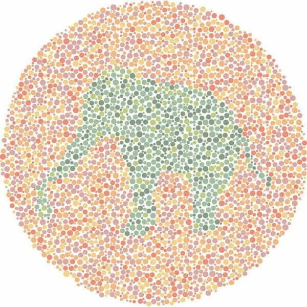 Color Blind Test