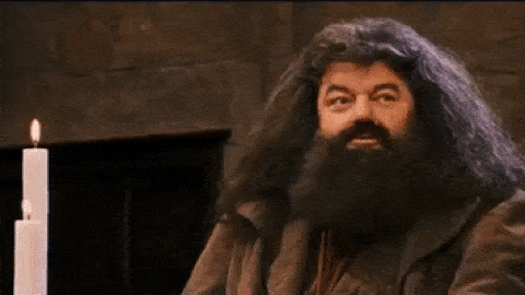 Which Harry Potter Character Are You?