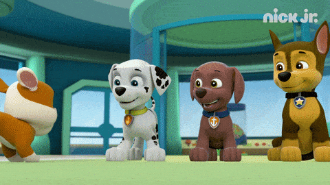 Paw Patrol