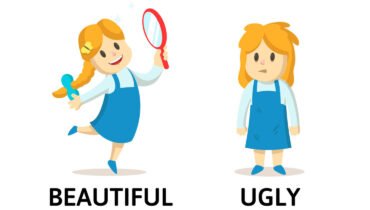 Am I Beautiful or Ugly