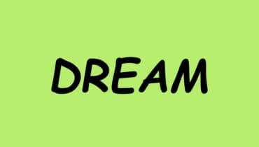 Which Dream SMP Member Are You?