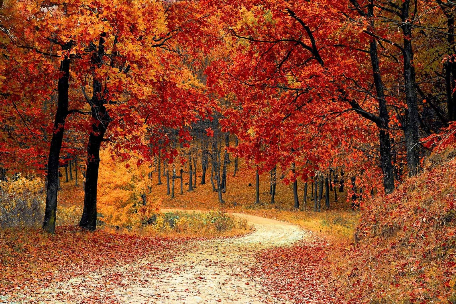 What season fits your personality?