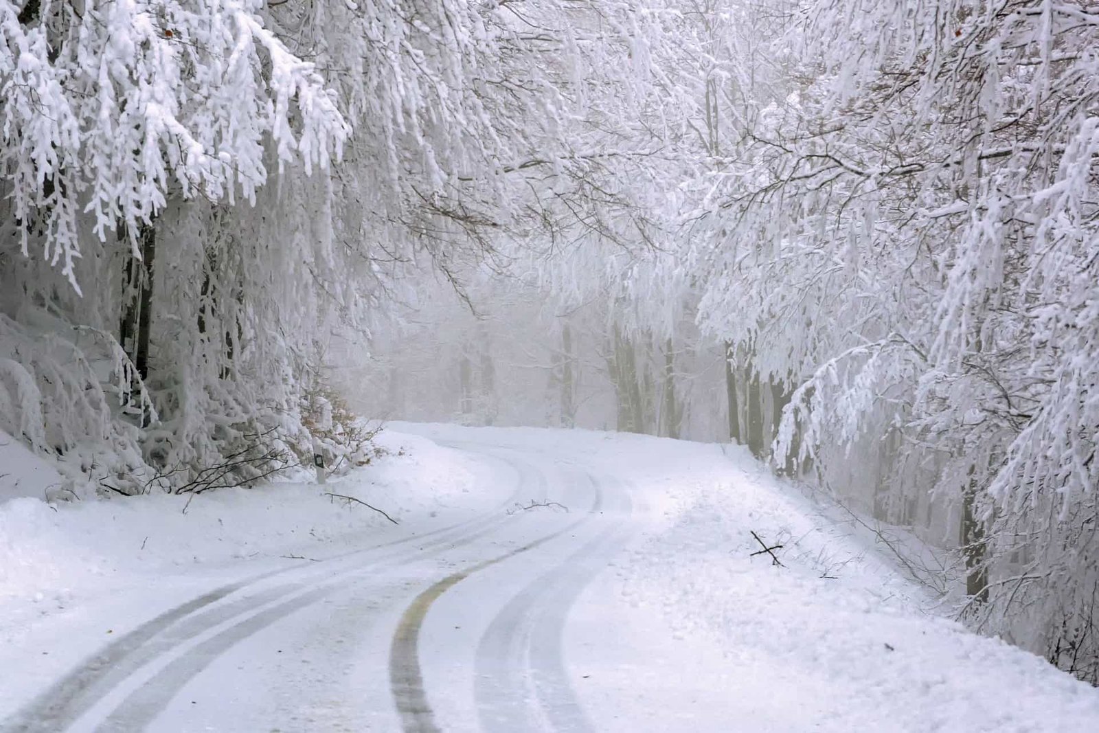What season fits your personality?