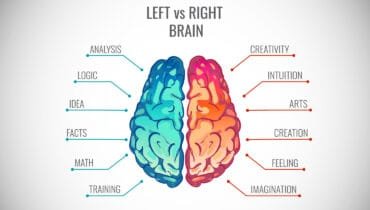 Are you left or right-brained?