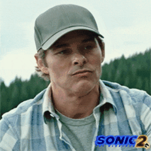 Which character from Sonic the Hedgehog 2 are you?