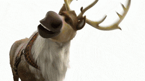 Which Frozen character are you?