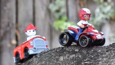 Which PAW Patrol character are you?