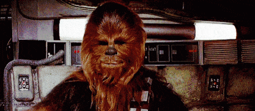 Which Star Wars character are you?