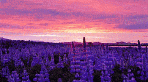 What is the color of your aura?
