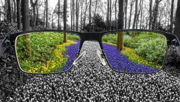 Color Blindness Test