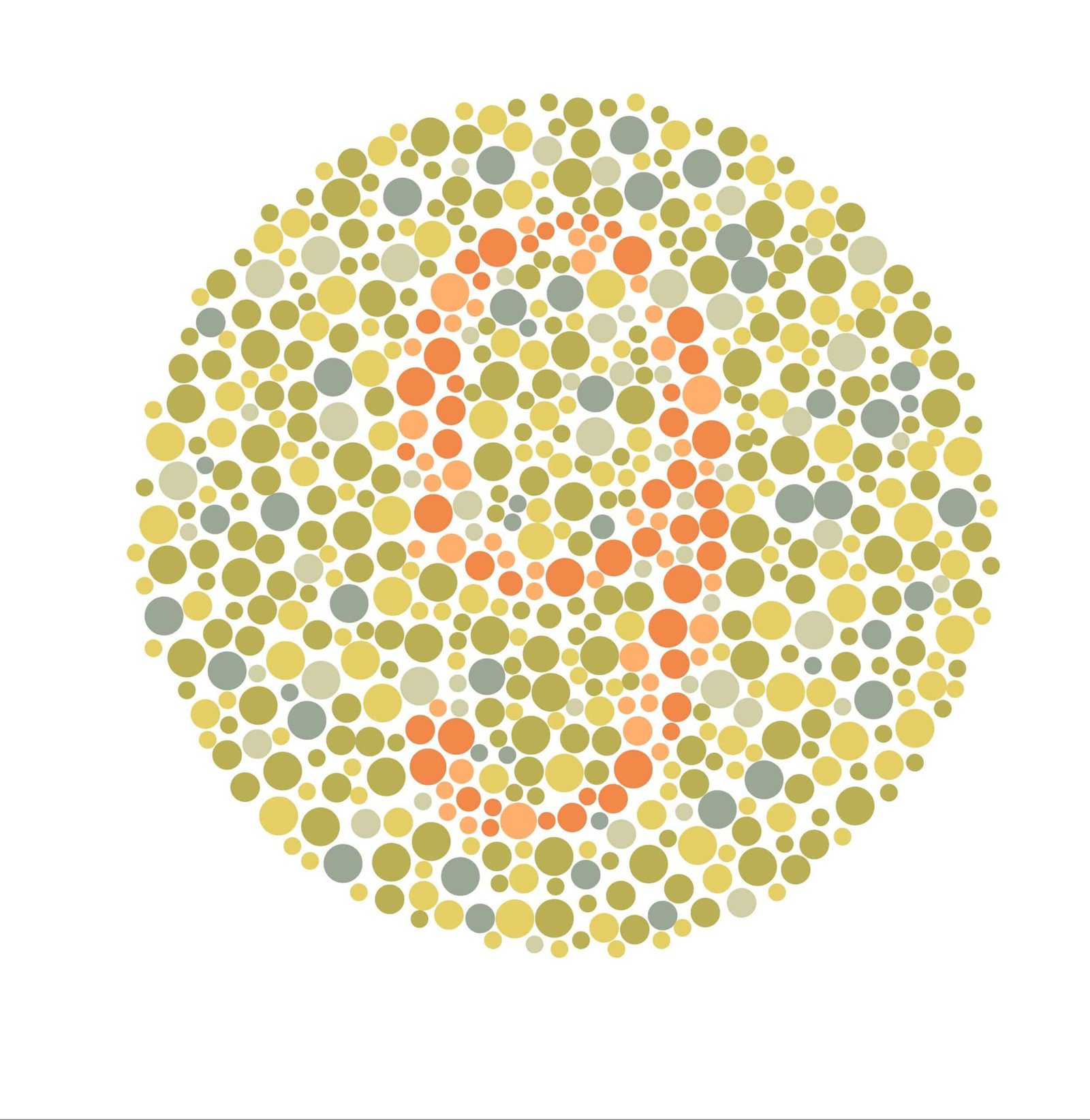 Color Blindness Test