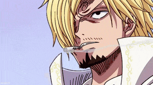 Which One Piece character are you?