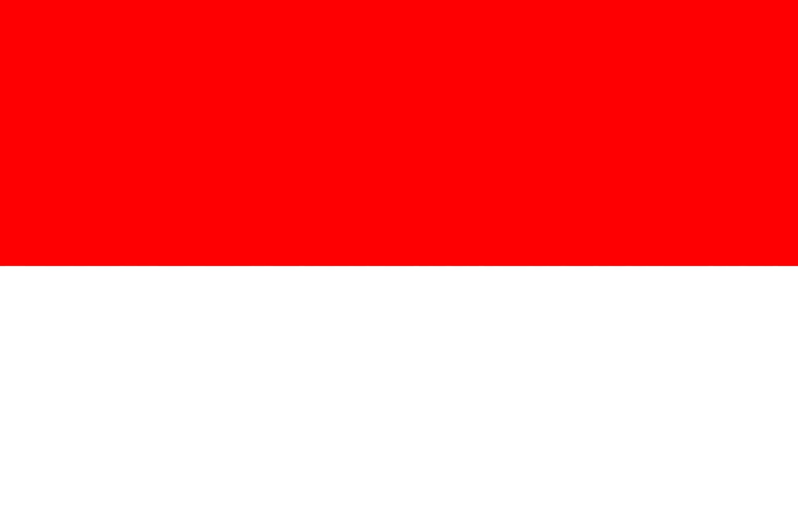 Flag Quiz