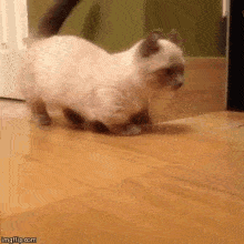 im-home-im-home-alone
