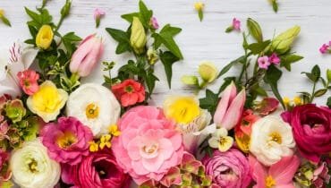 What flower are you?