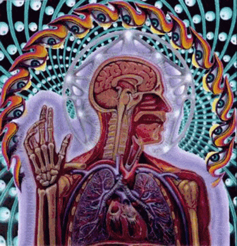 dmt-trippy