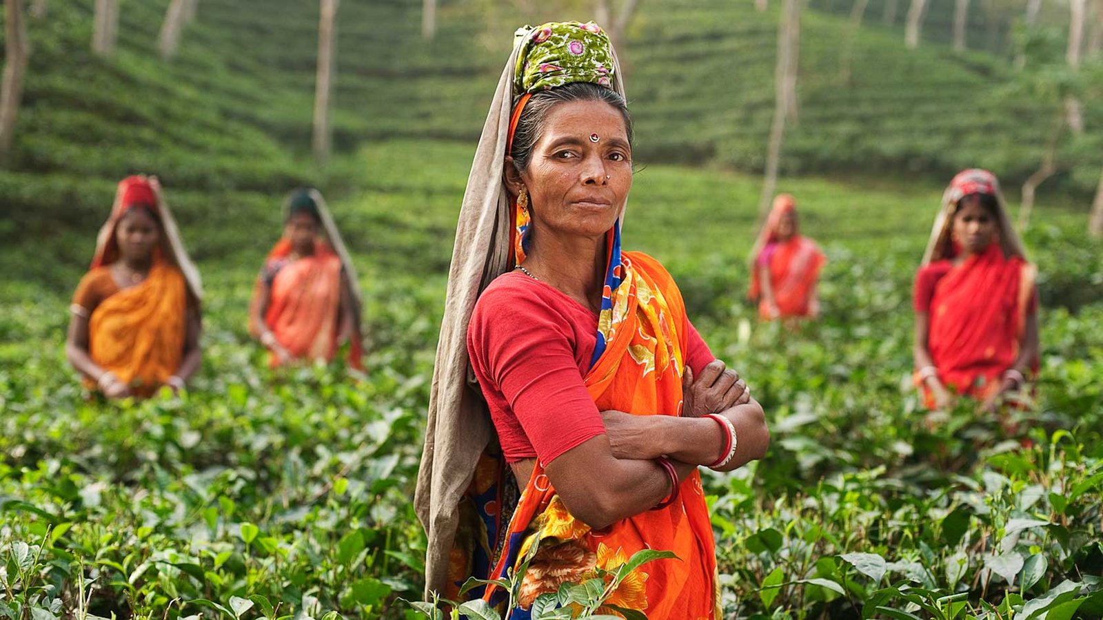 bangladesh