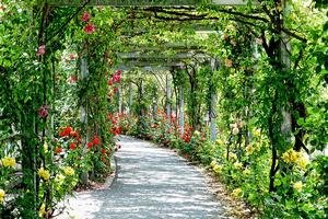 flowers-3112055-640