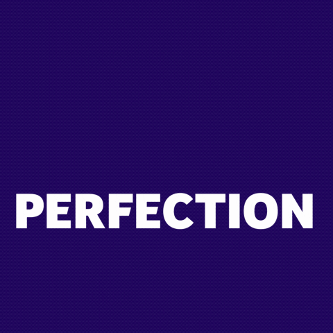 giphy (2)