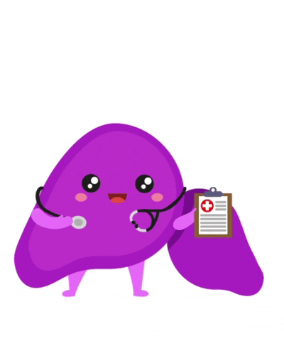giphy (3)