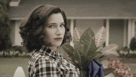 giphy (7)