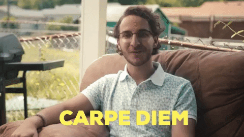 giphy4
