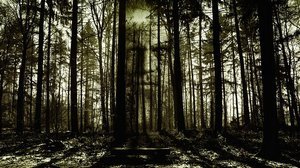 horror-2156302-640