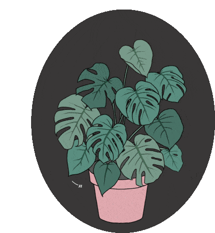 melancholy-mondays-monstera