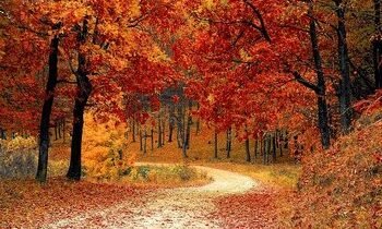 road-1072821-640