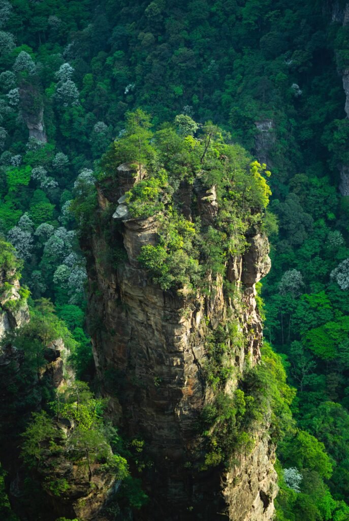 avatar-the-way-of-water-quiz-avatar-2-release-in-december-2022_2022-09-30_860835