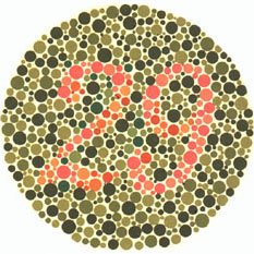 2924946461