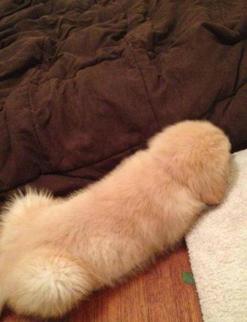 Dirty-Mind-Test-11