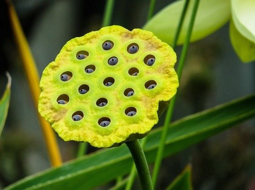 nature-ga9c79a41a-640
