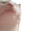 ww