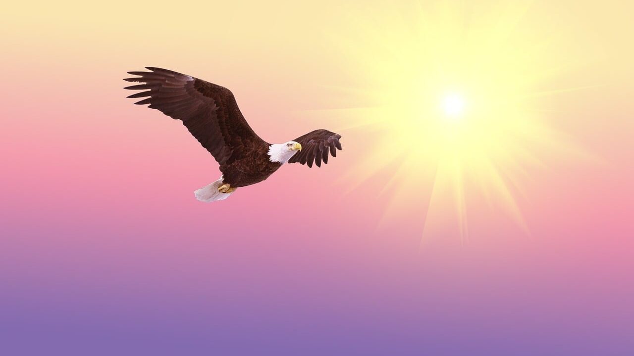 what-superpower-would-i-have-completely-free_2022-12-12_704287