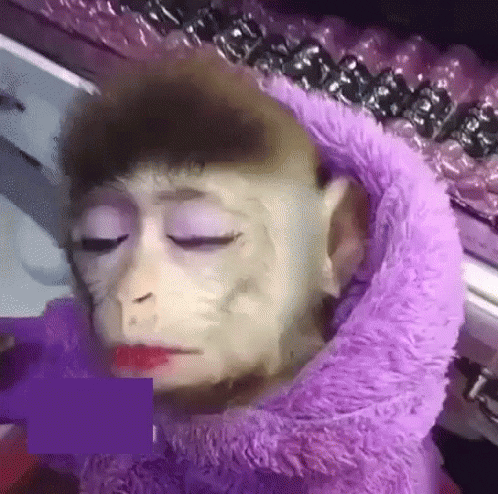 giphy (4)